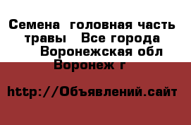 Семена (головная часть))) травы - Все города  »    . Воронежская обл.,Воронеж г.